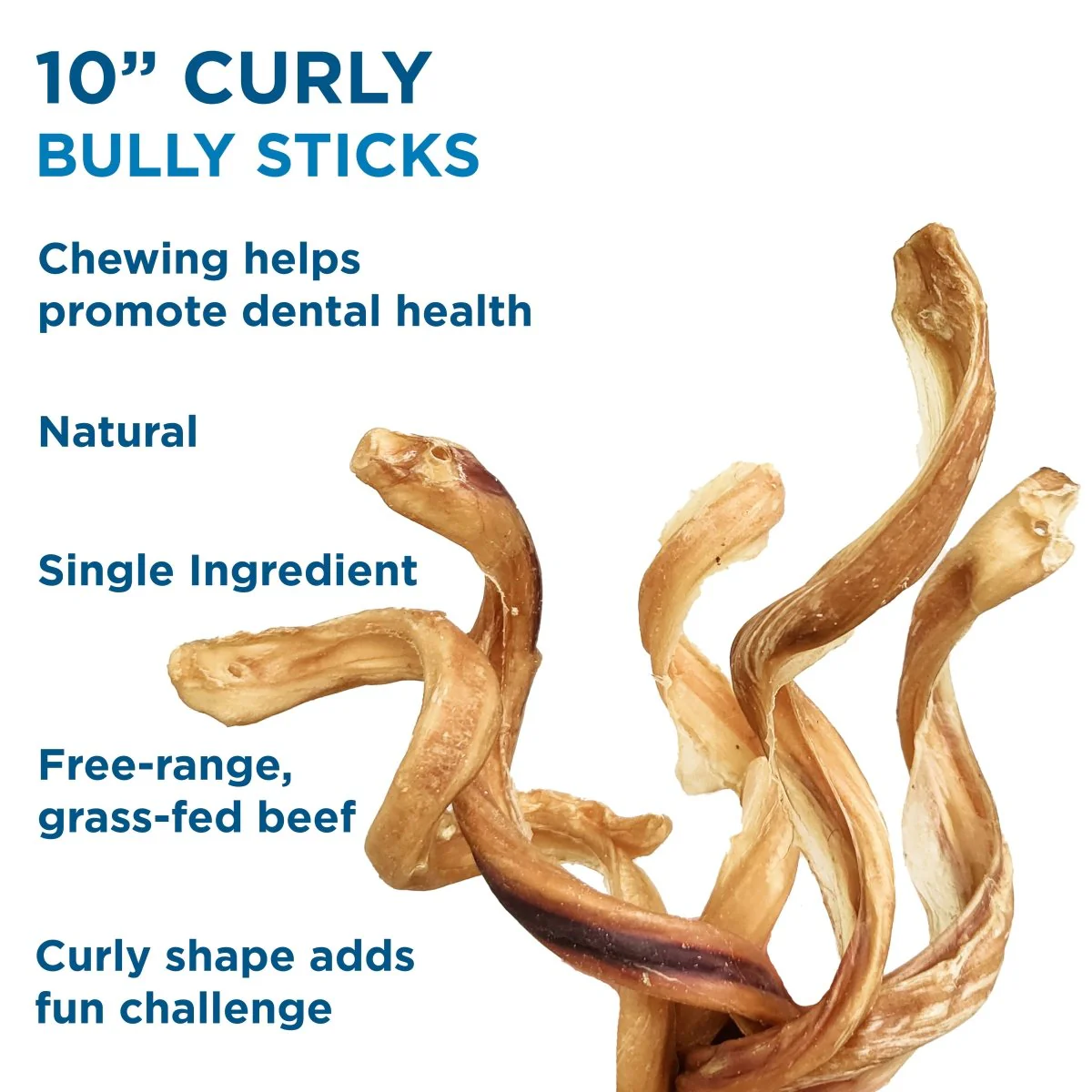 7 to 10-Inch Curly Bully Stick - Image 6