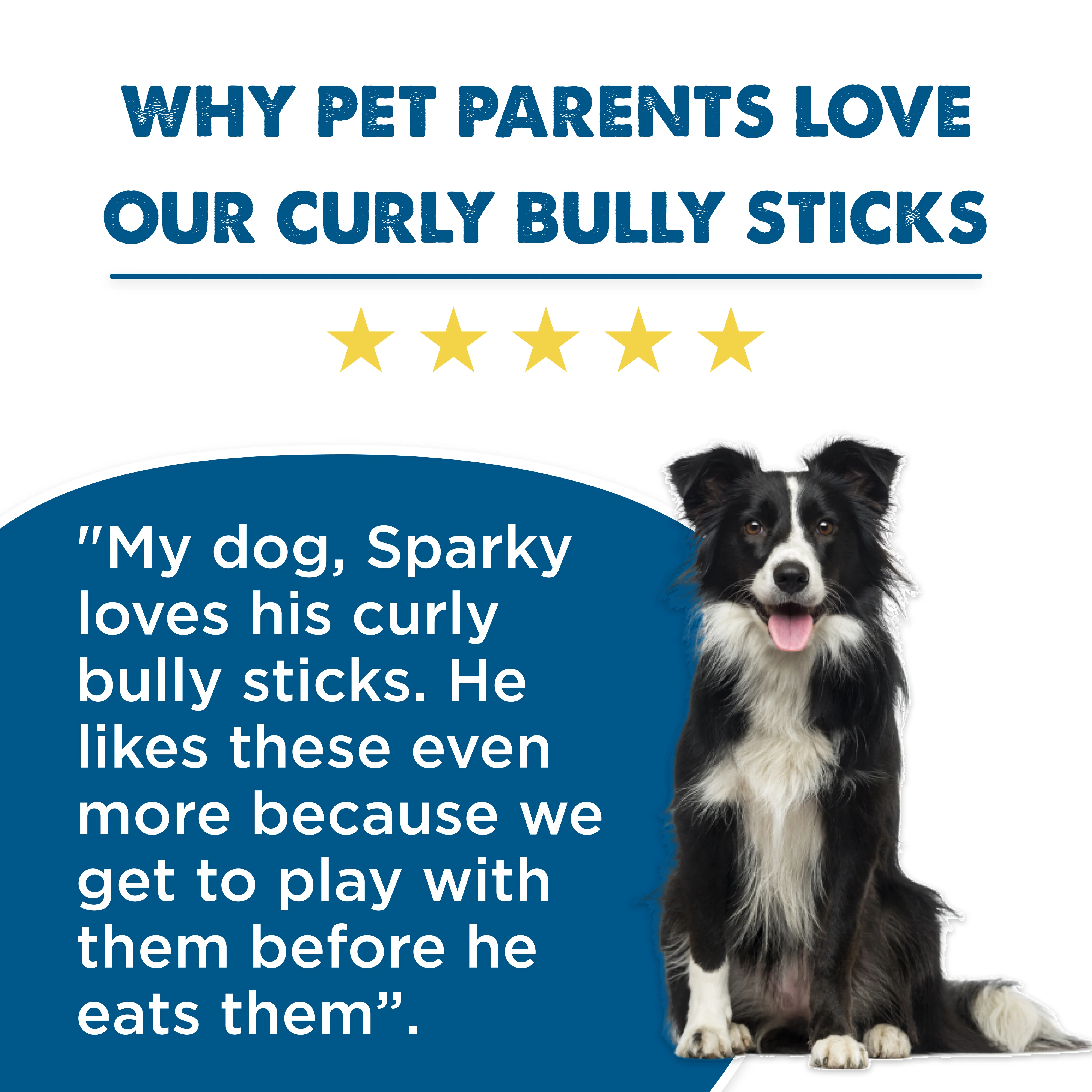 7 to 10-Inch Curly Bully Stick - Image 7