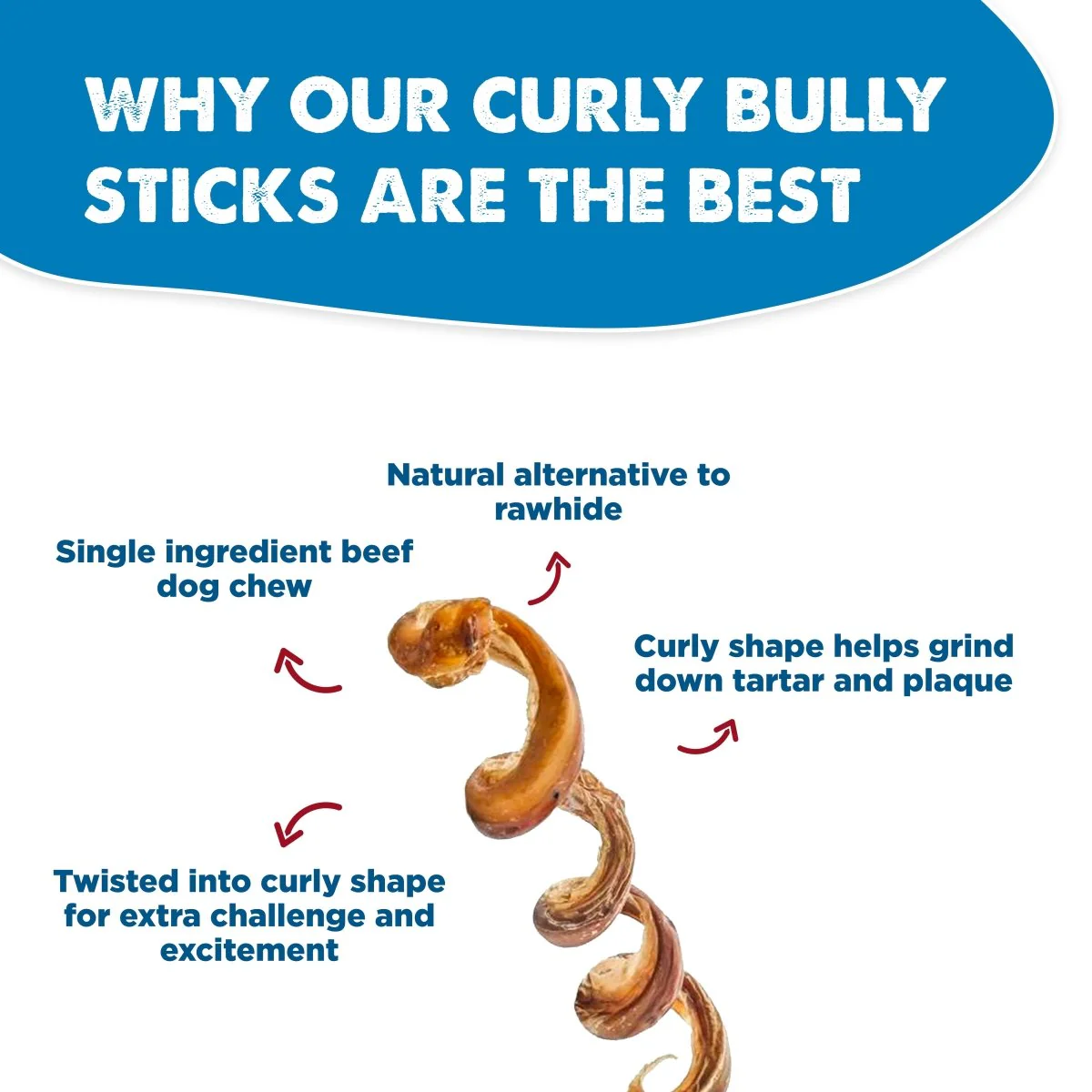 10-Inch Curly Bully Stick - Image 5
