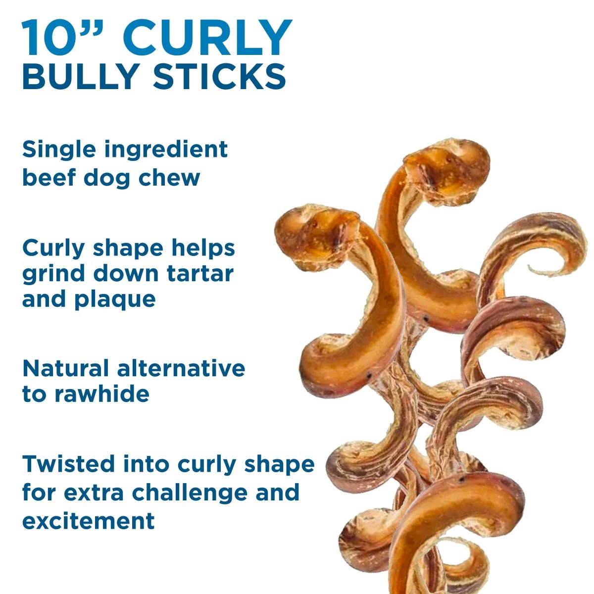 10-Inch Curly Bully Stick - Image 7