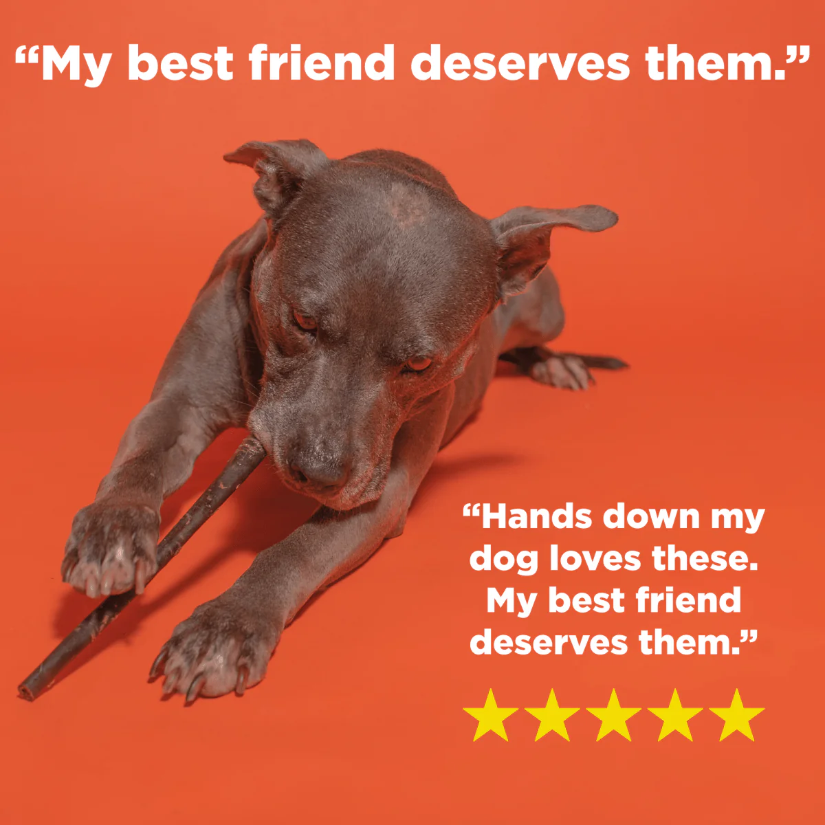 Best Bully 12-Inch Beef Collagen Stick - Image 4