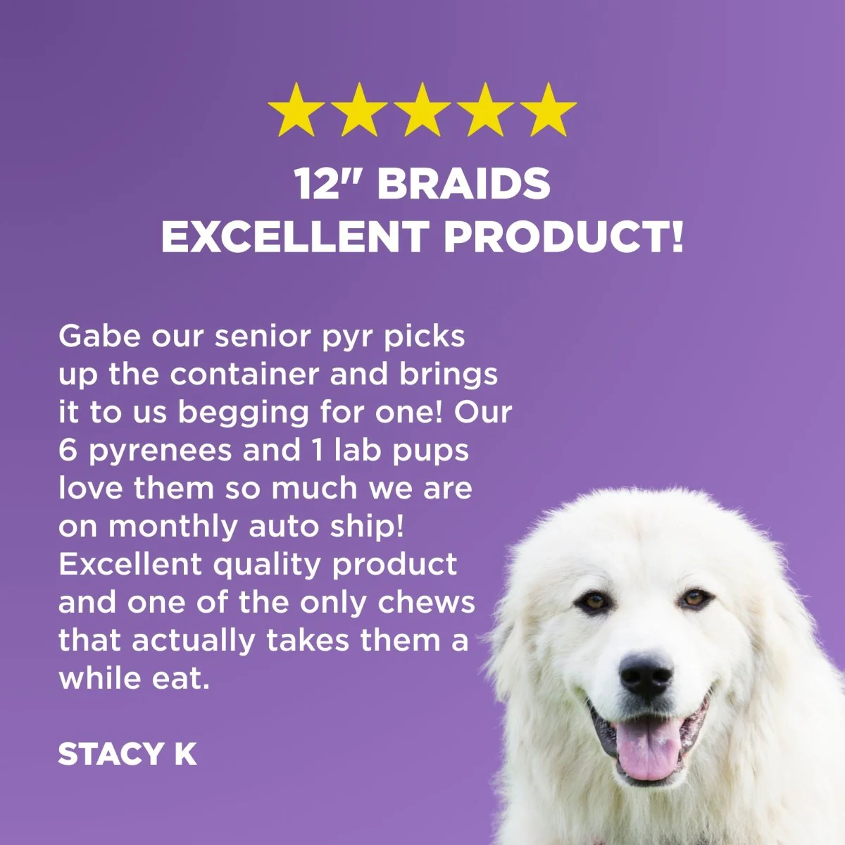 12-Inch Braided Bully Stick - Image 5
