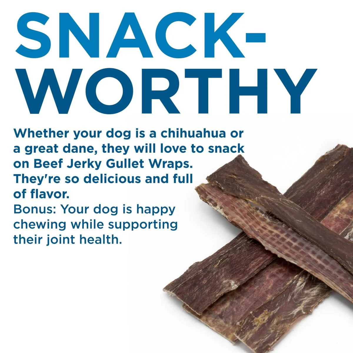 12-Inch Beef Jerky Gullet Strips - Image 4