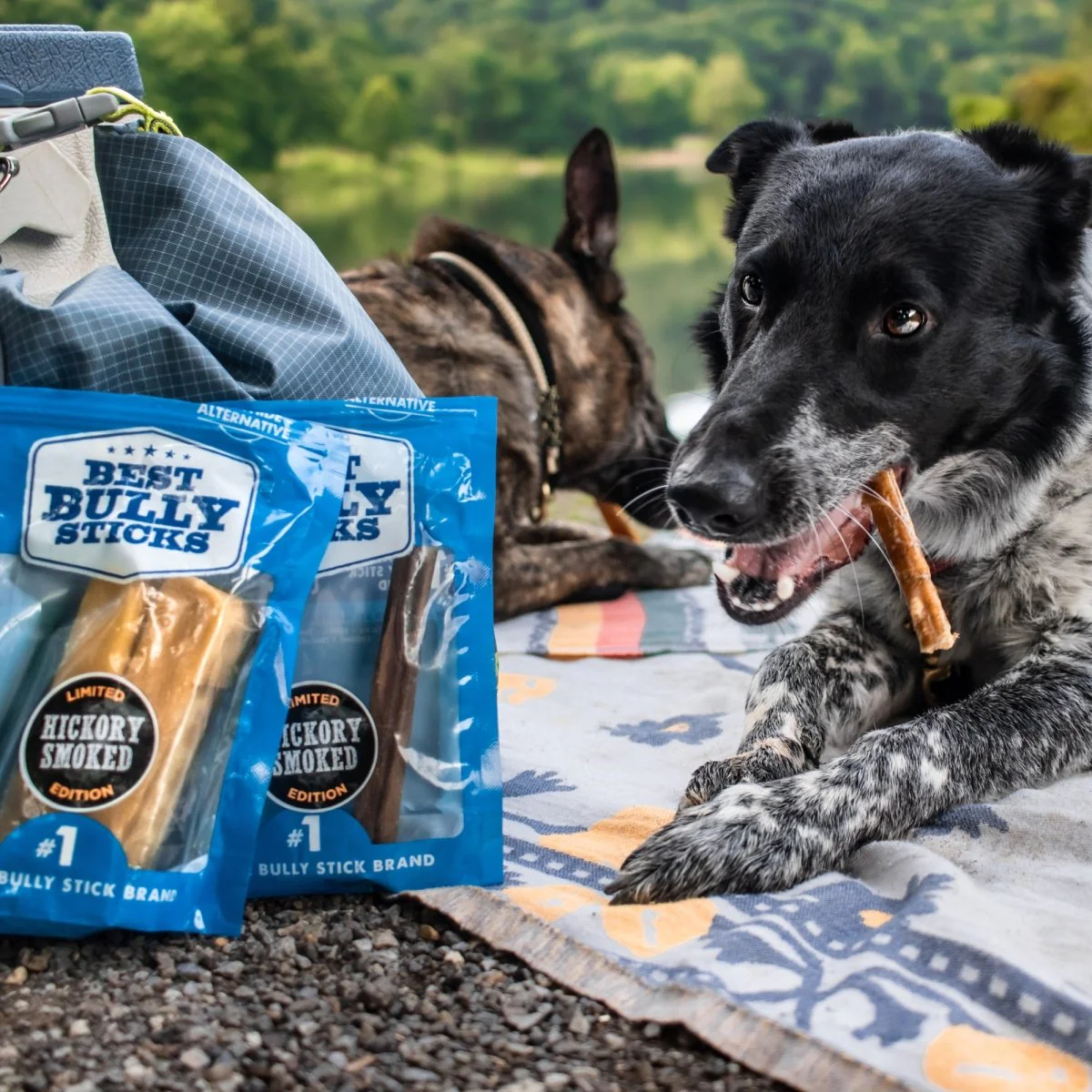 12-Inch Hickory Smoked Bully Sticks - Image 4