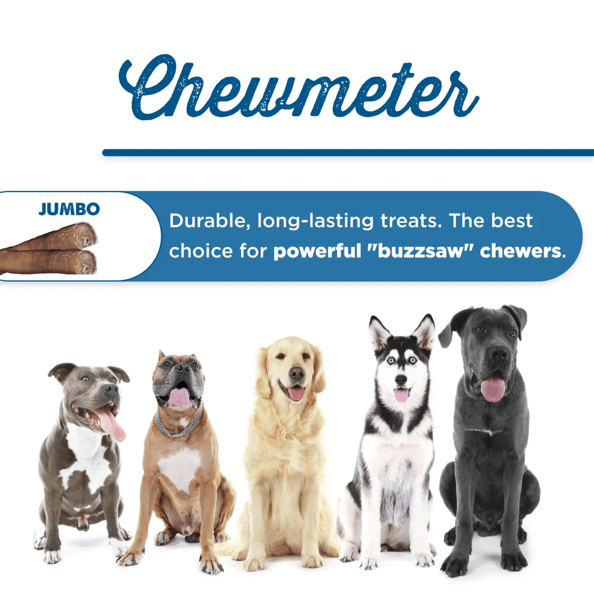 12-Inch Jumbo Bully Stick - Image 6