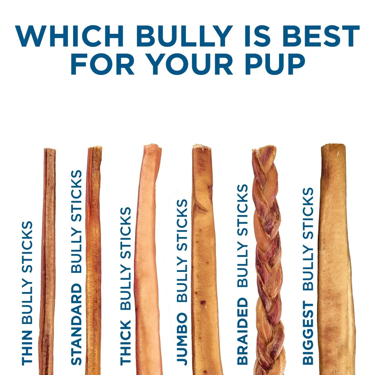 12-Inch Jumbo Odor-Free Bully Stick - Image 6
