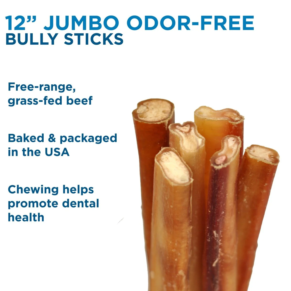 12-Inch Jumbo Odor-Free Bully Stick - Image 8