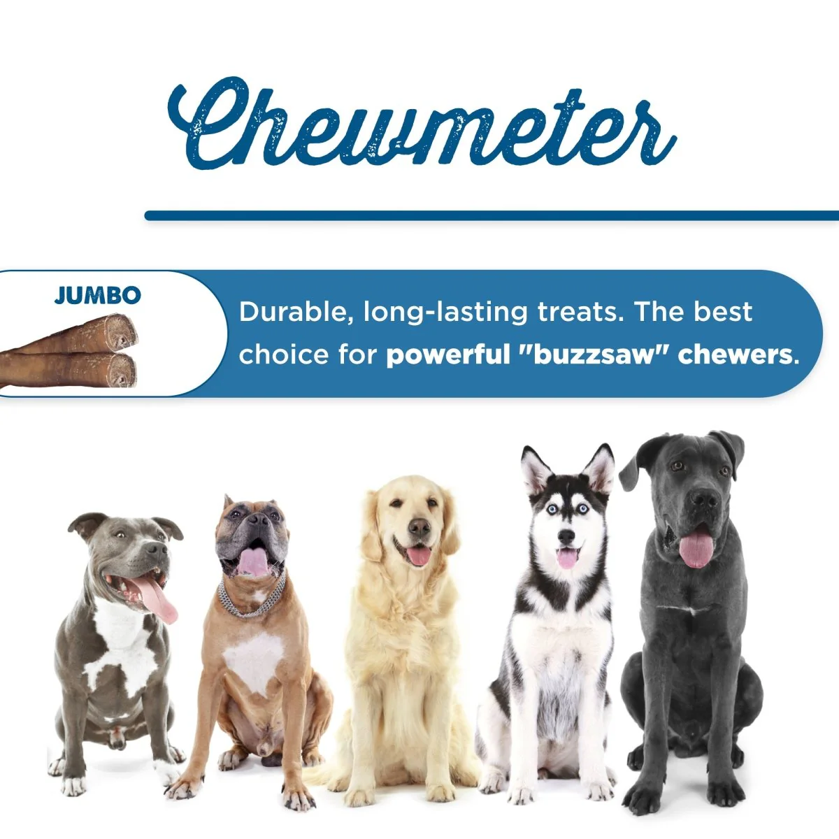 12-Inch Jumbo USA-Baked Odor-Free Bully Stick - Image 6