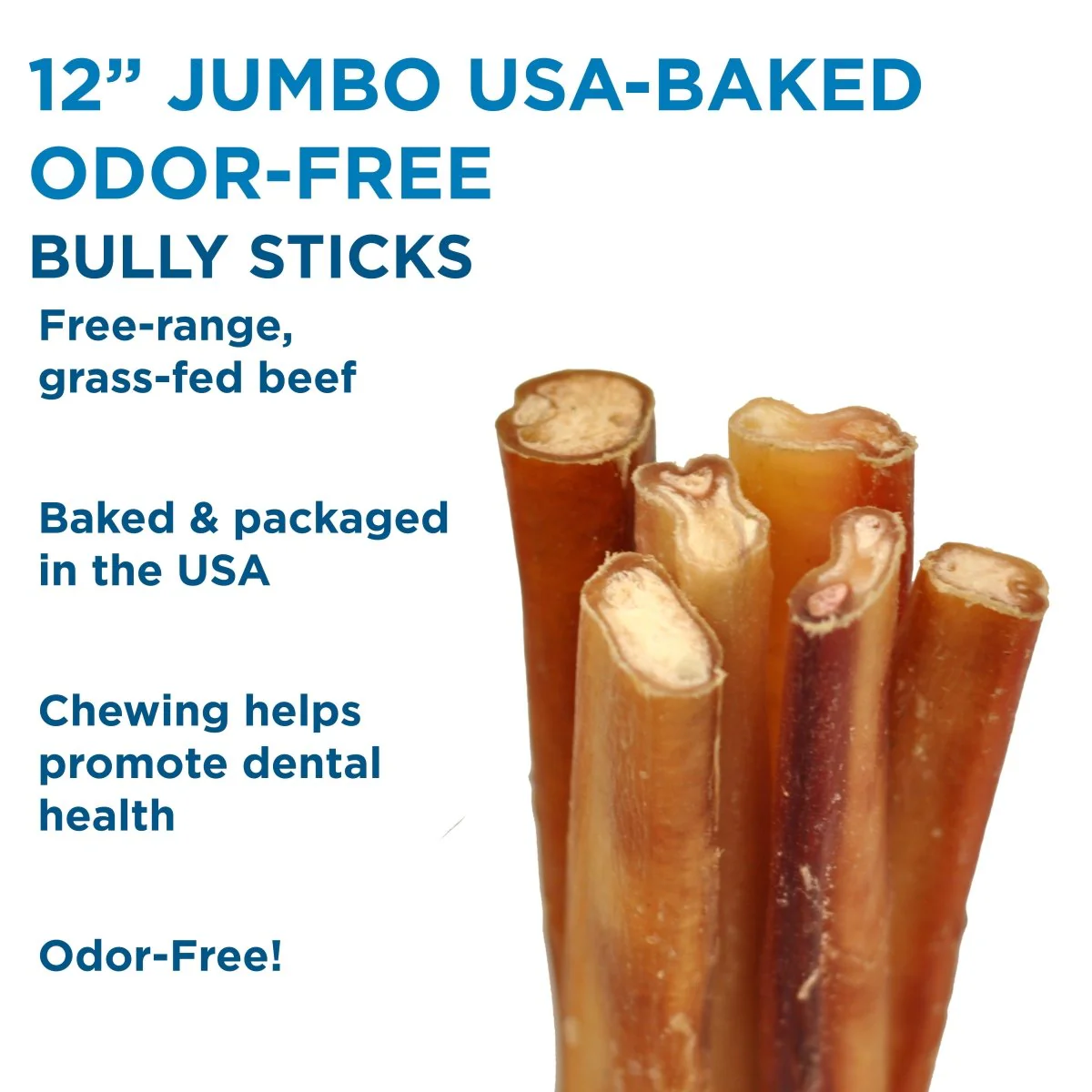 12-Inch Jumbo USA-Baked Odor-Free Bully Stick - Image 8