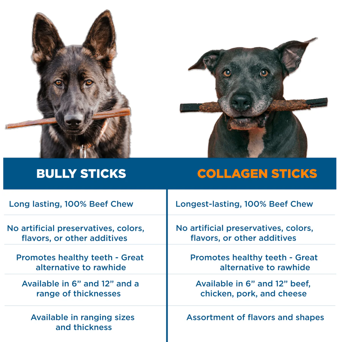 12 Inch Collagen Kabob - Image 7
