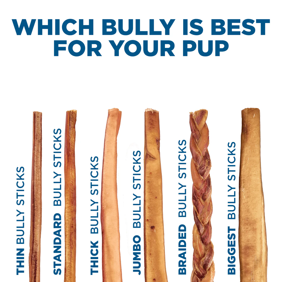 12-Inch Odor-Free Bully Stick Mix - Image 9