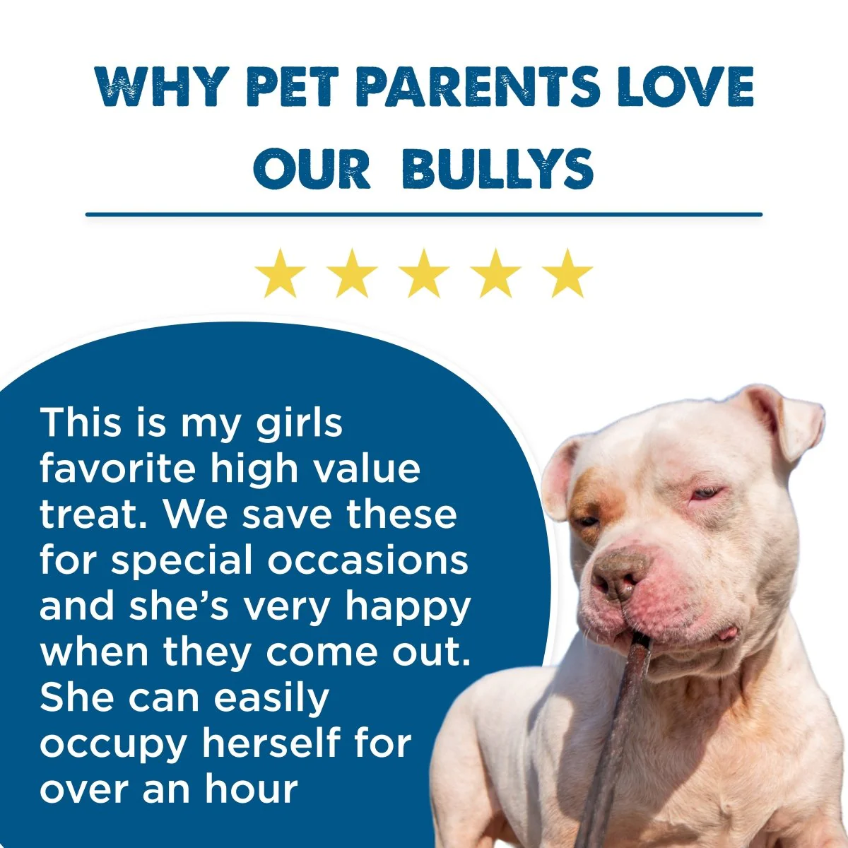Best Bully 12 Inch Peanut Butter Collagen - Image 6