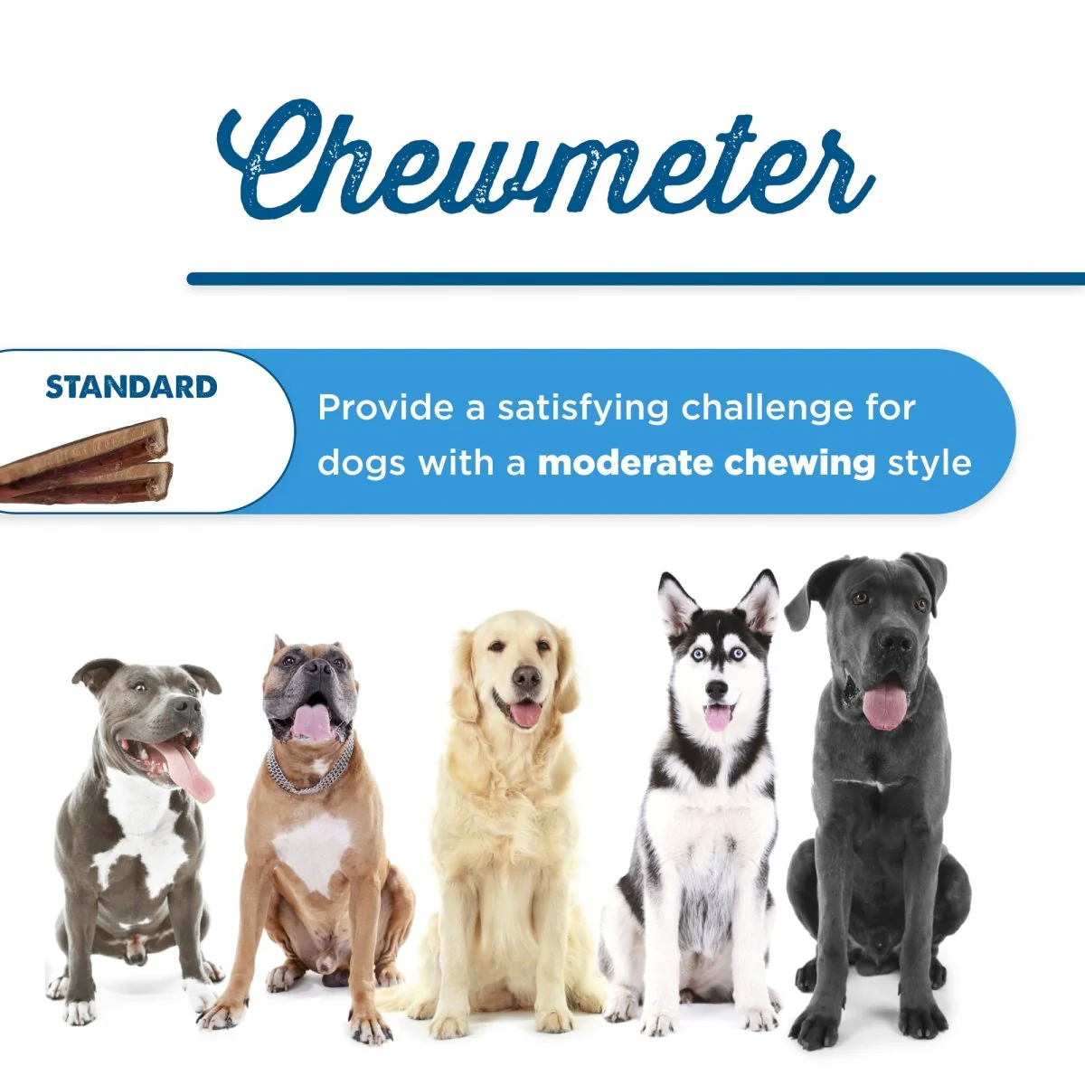 12-Inch Standard USA-Baked Odor-Free Bully Stick - Image 9