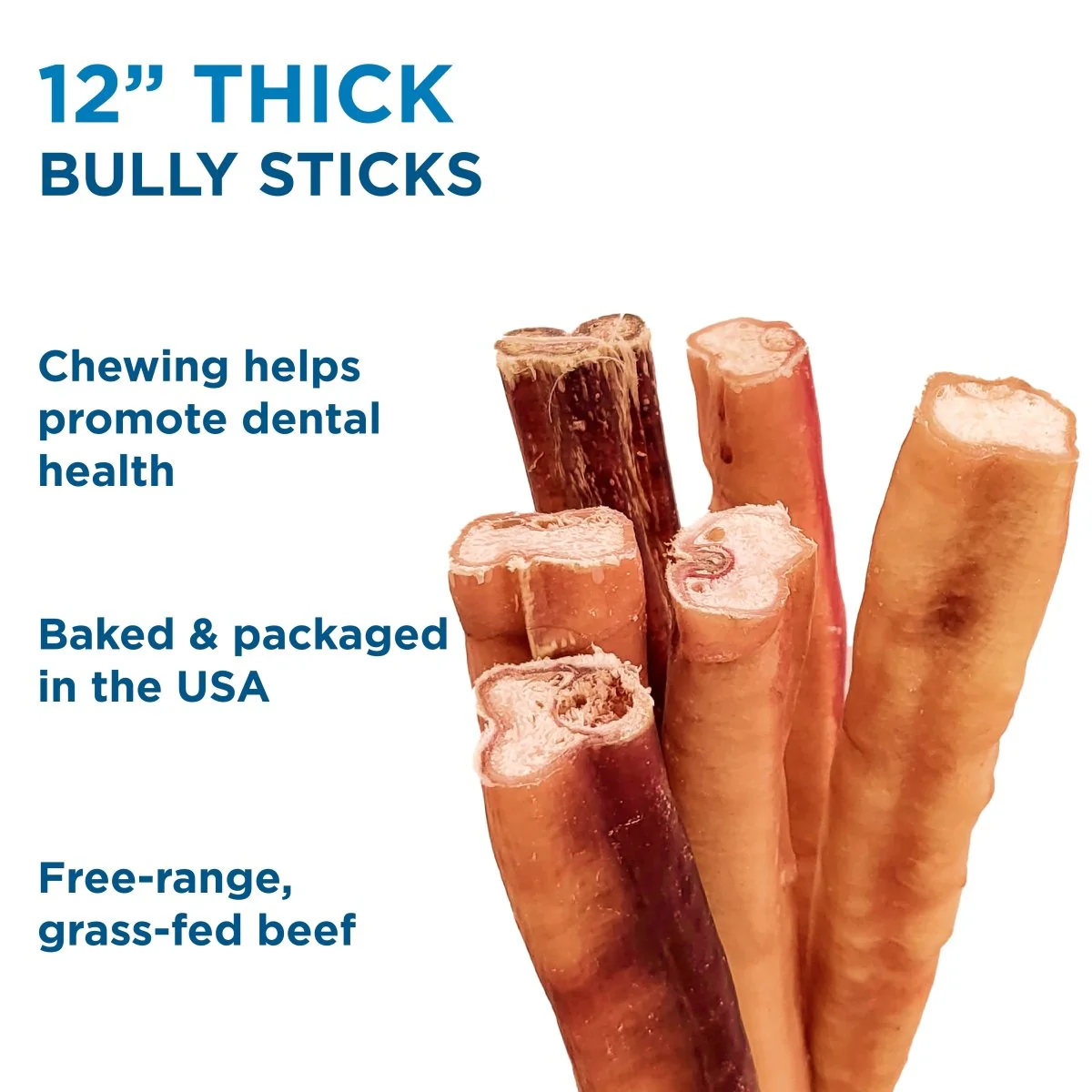12-Inch Thick Bully Stick - Image 5