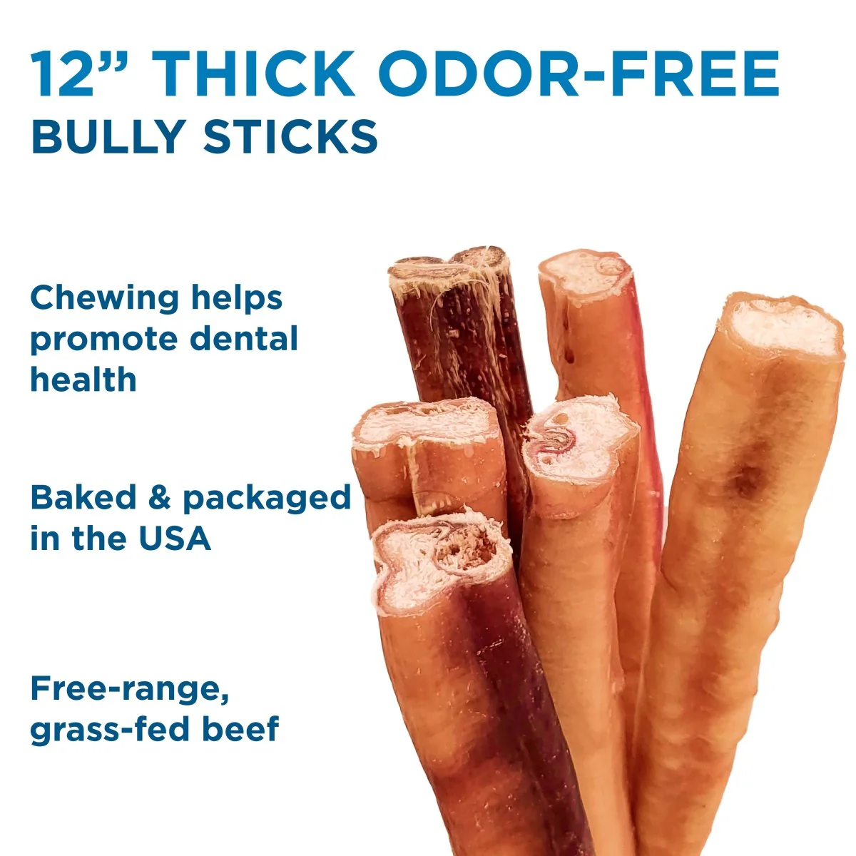 12-Inch Thick Odor-Free Bully Stick - Image 4