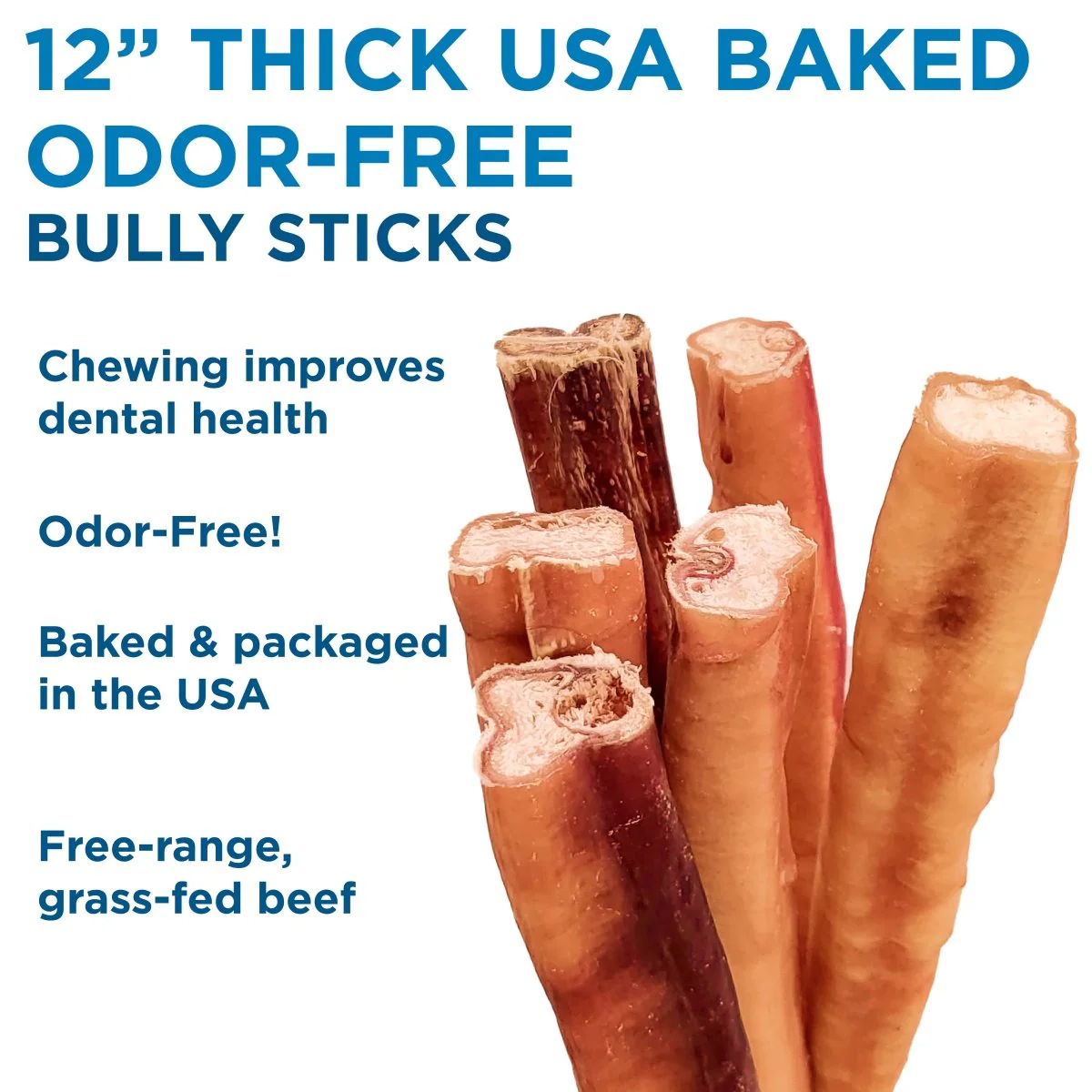 12-Inch Thick USA-Baked Odor-Free Bully Stick - Image 5