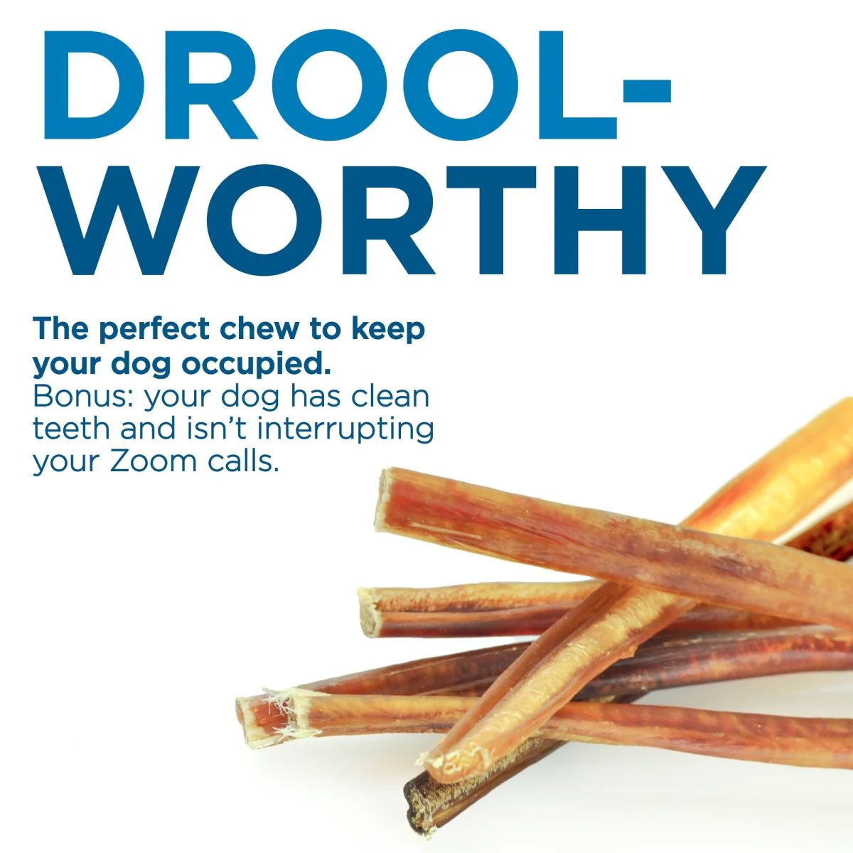 12-Inch Thin Bully Sticks (16 Count) - Image 7