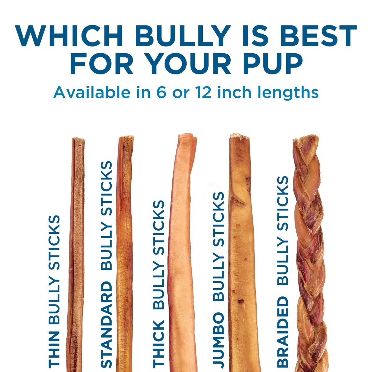 12-Inch Thin Bully Sticks (16 Count) - Image 8