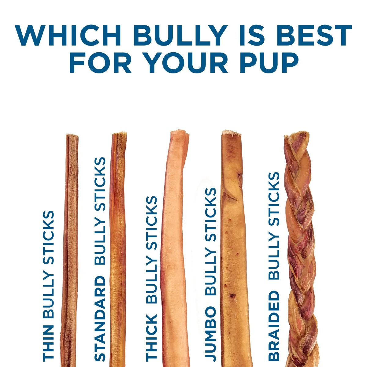 4-8 Inch Odor-Free Bully Sticks - Image 10