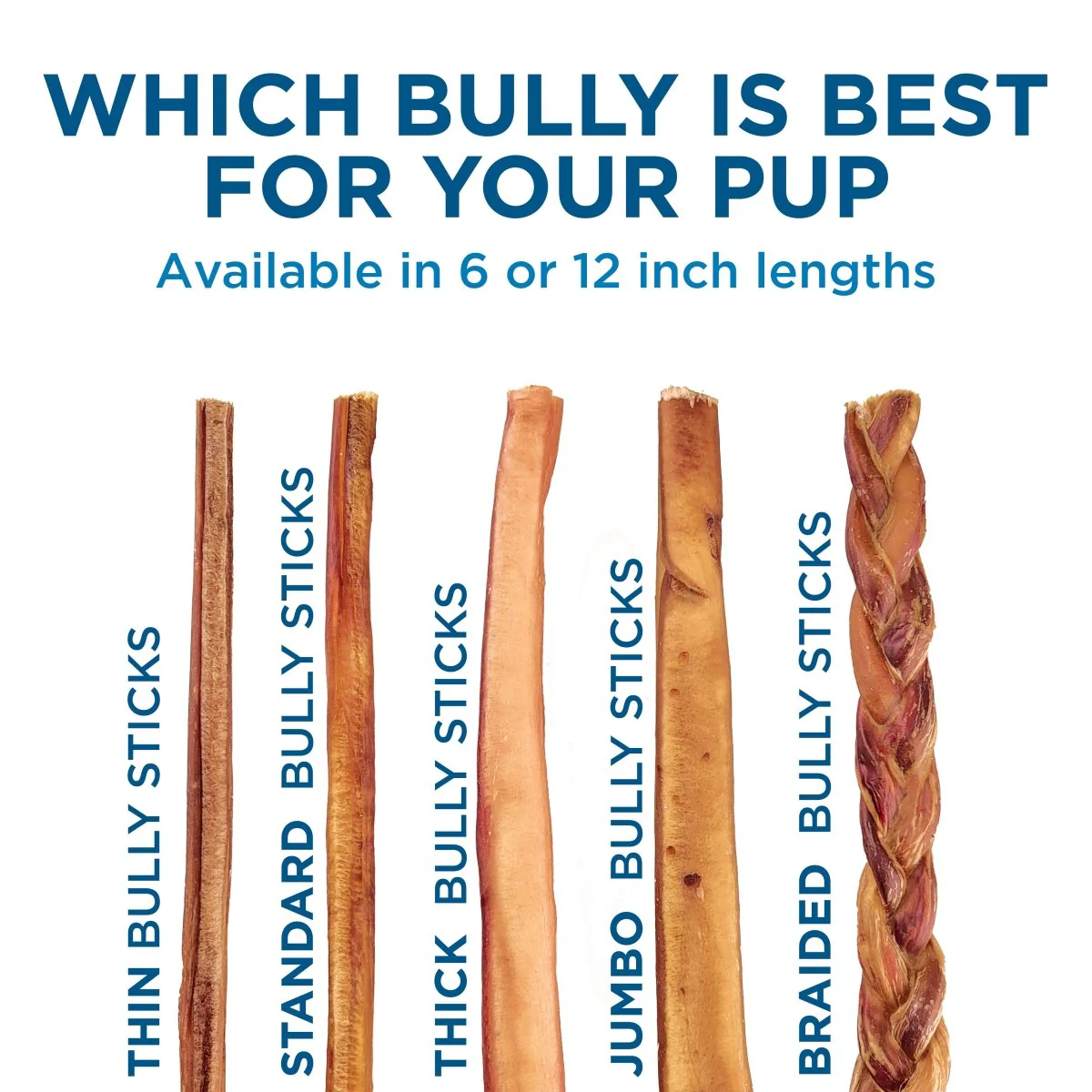4-Inch Bully Stick - Image 10