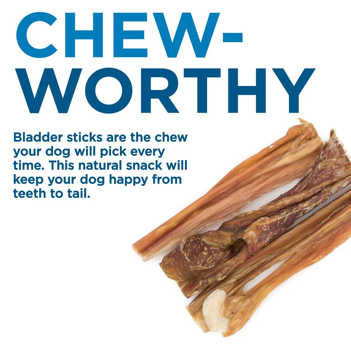 6-Inch Bladder Stick - Image 5