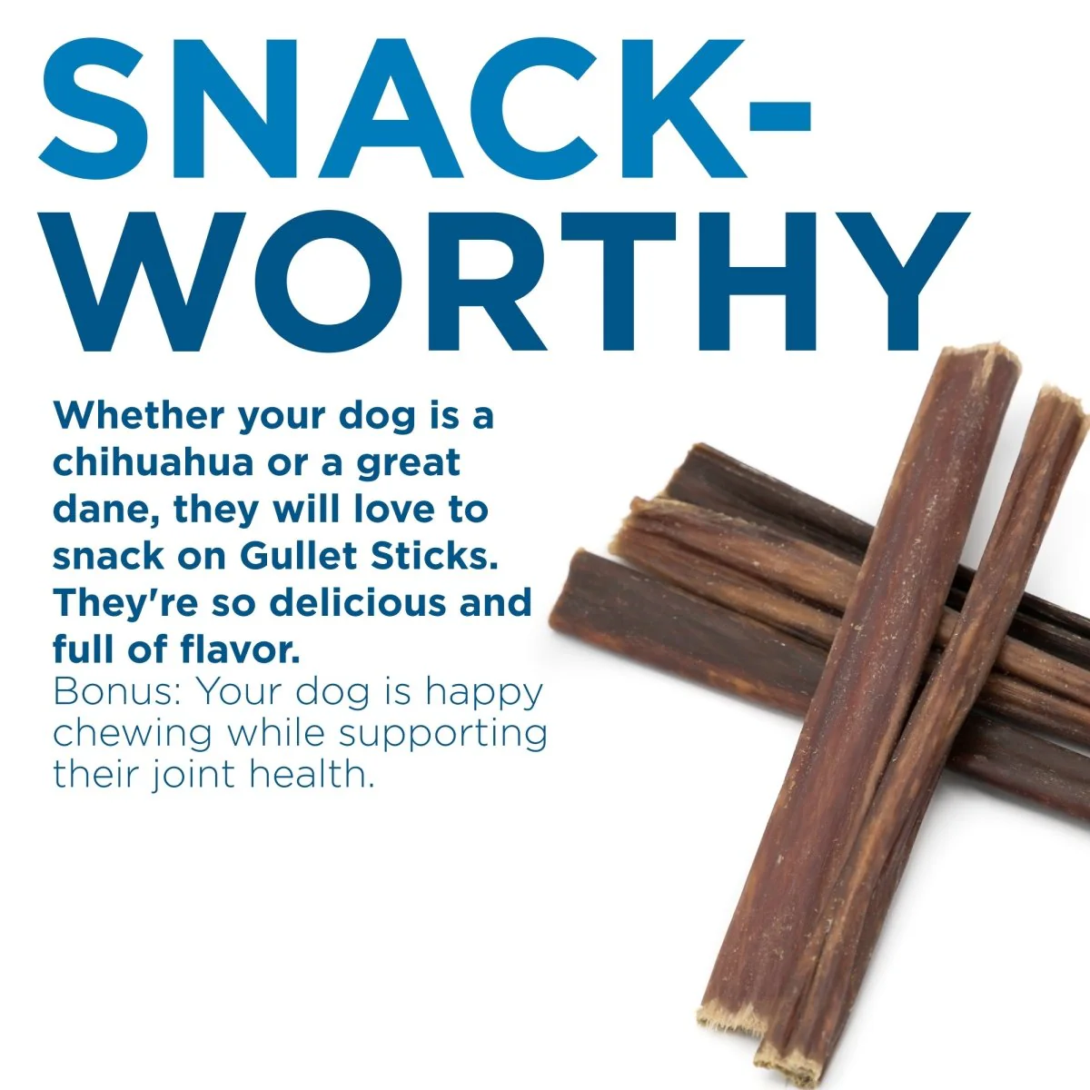 6-Inch Gullet Stick - Image 4