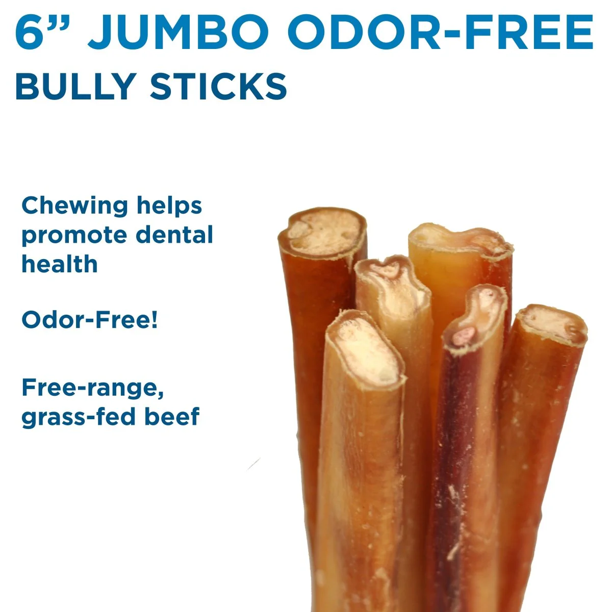 6-Inch Jumbo Odor-Free Bully Stick - Image 10