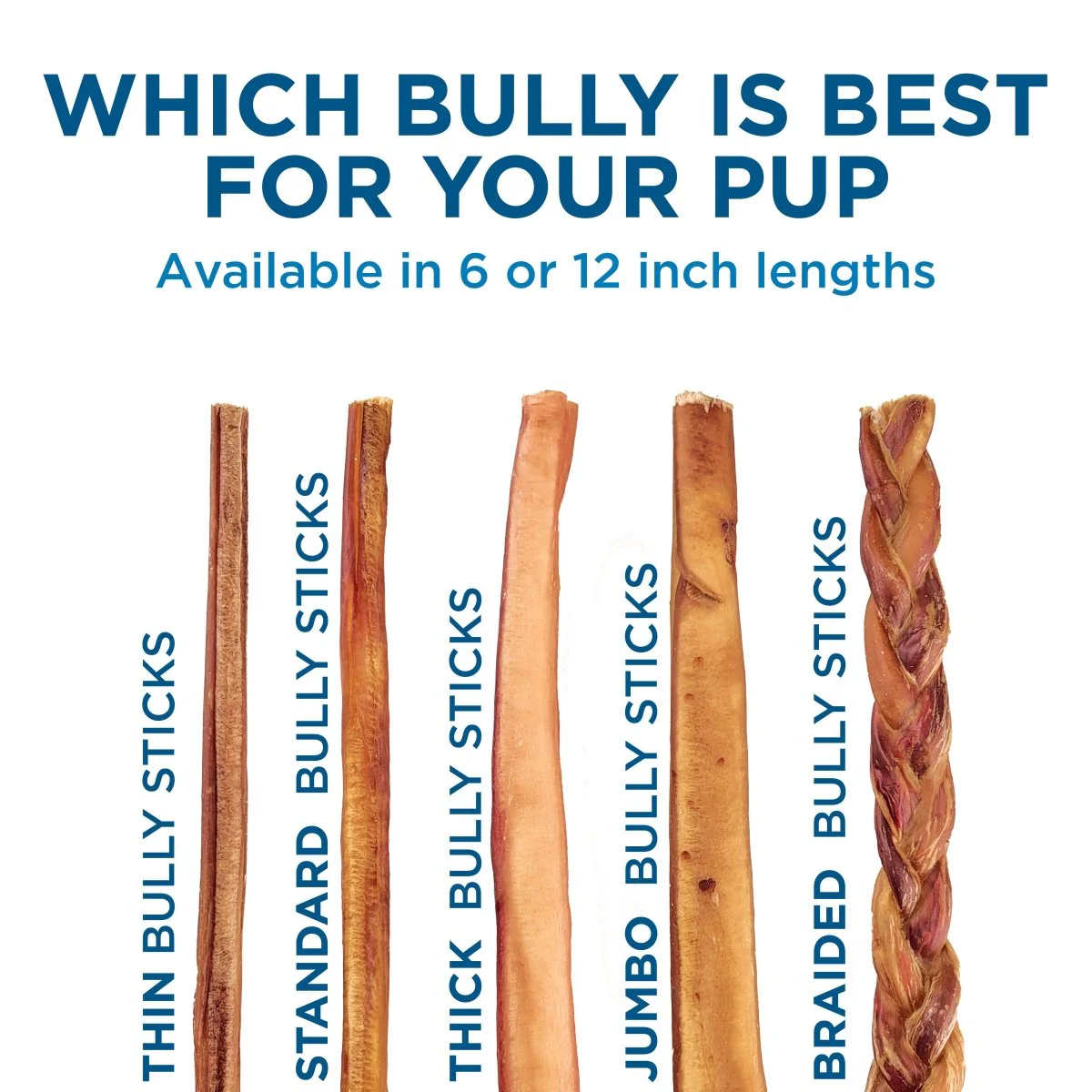 12-Inch Standard Bully Stick - Image 10