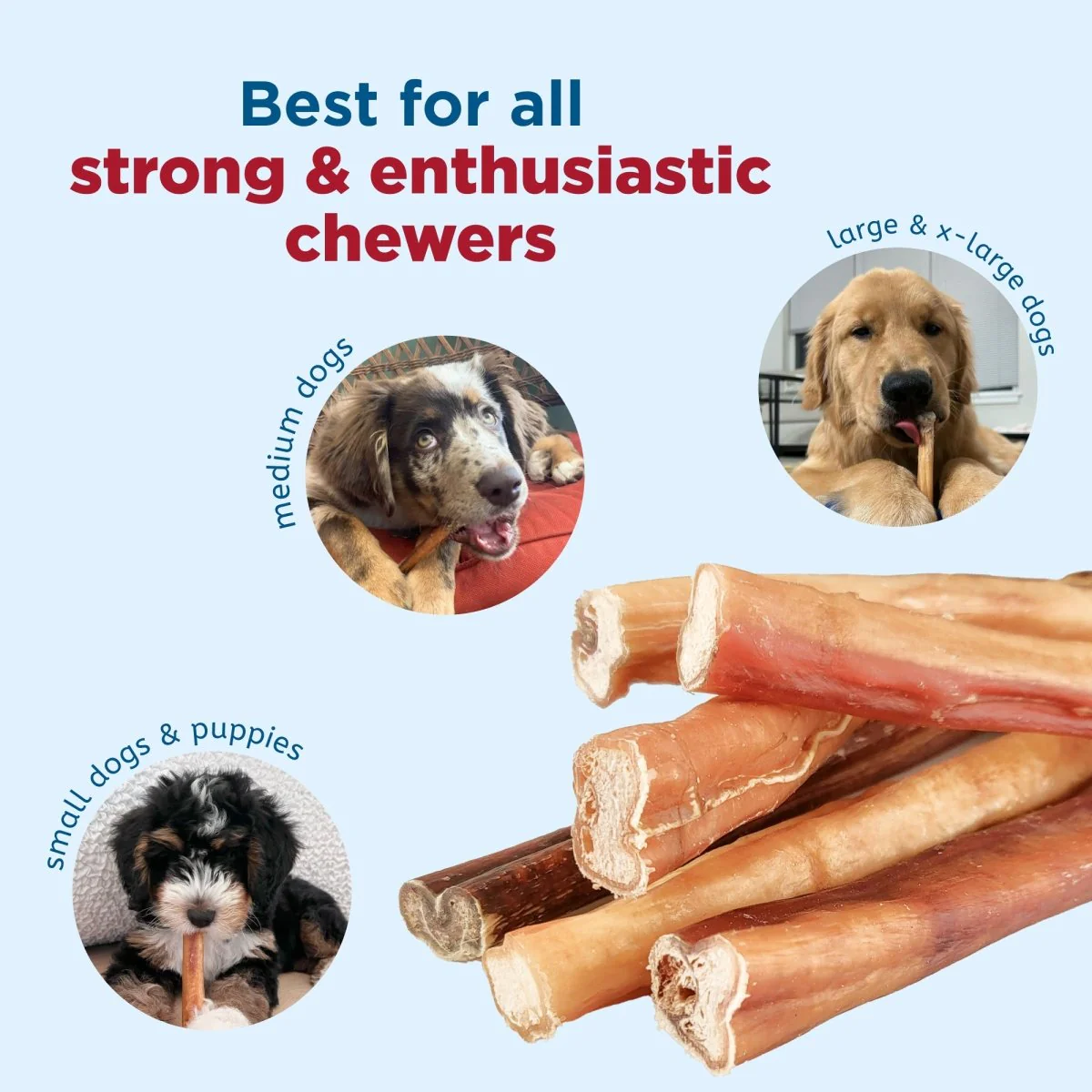 6-Inch Thick Bully Stick - Image 10