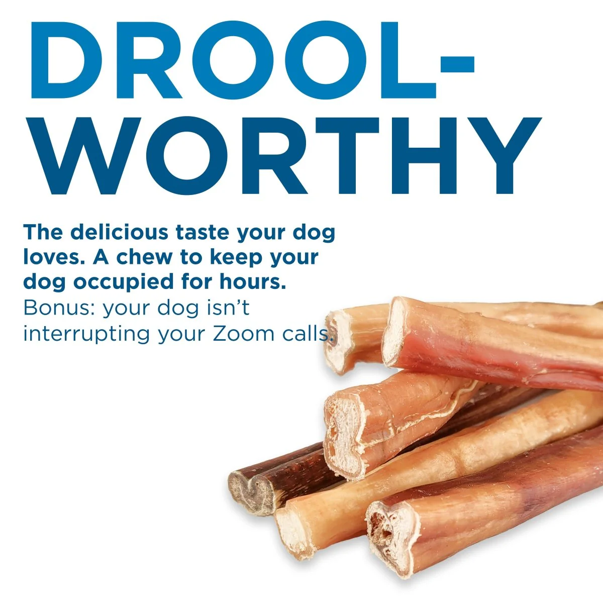 6-Inch Thick Odor-Free Bully Stick - Image 8