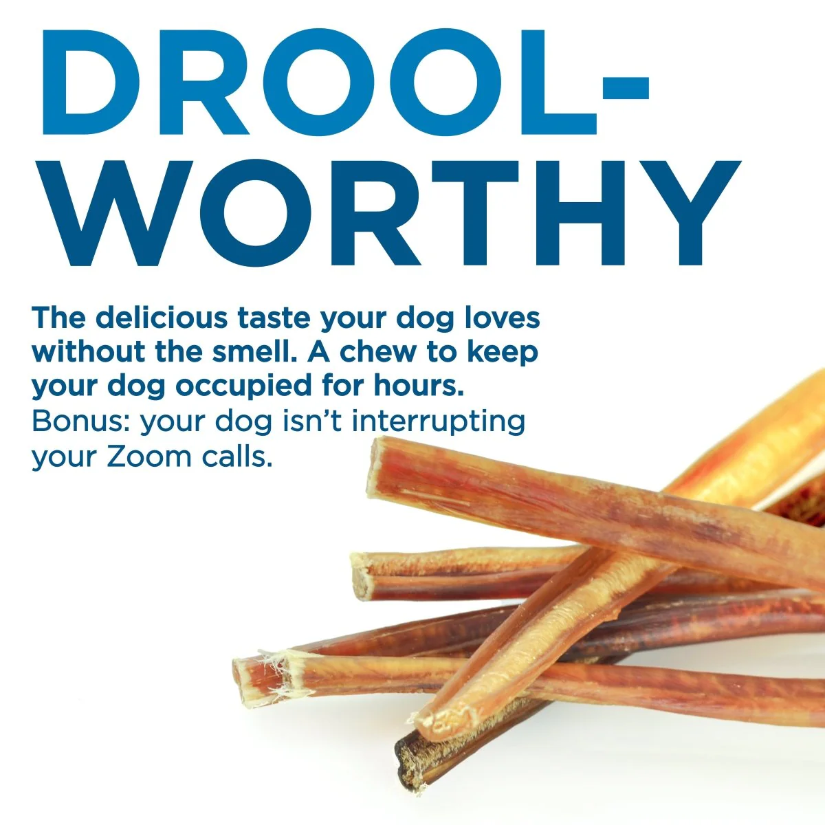 6-Inch Thin Bully Stick - Image 8