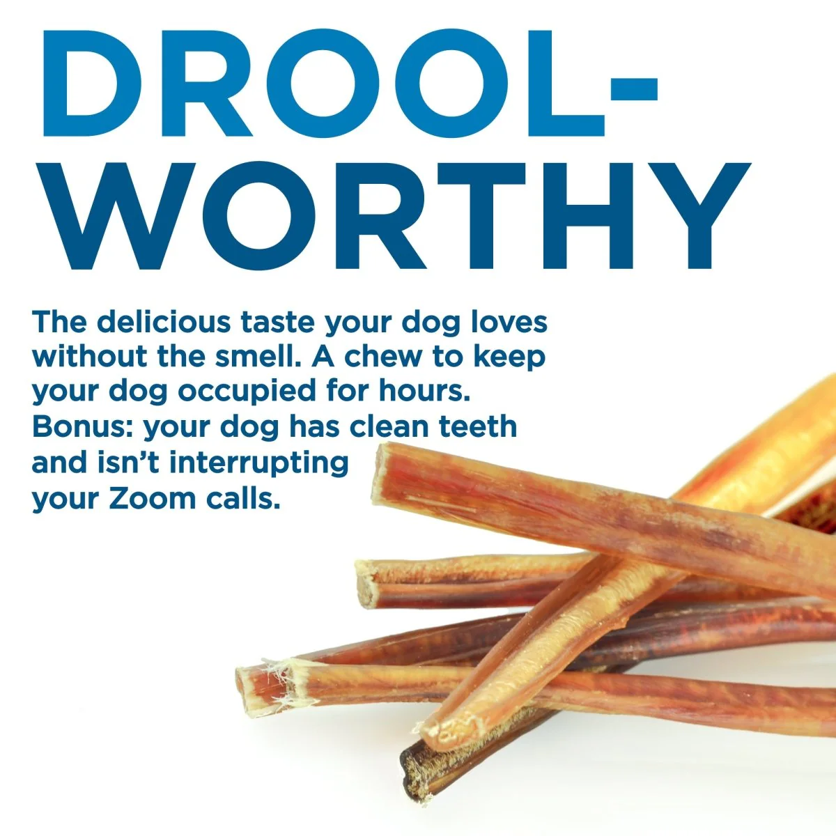 6-Inch Thin Odor-Free Bully Stick - Image 5