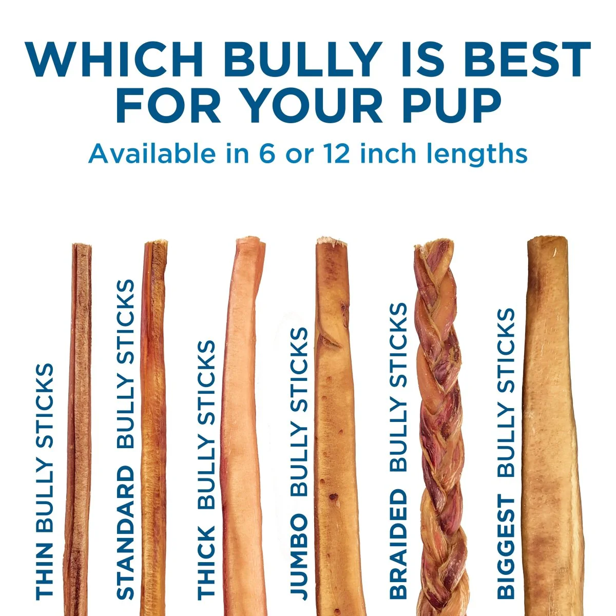 6-Inch Standard Bully Stick - Image 7