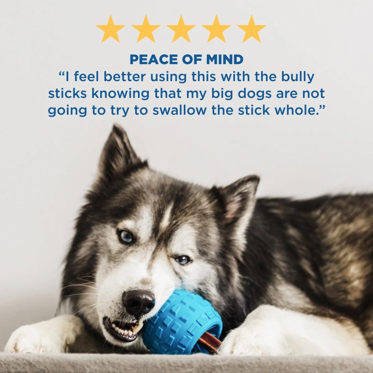 Chewzie - Bully Stick Holder Dog Toy - Image 6