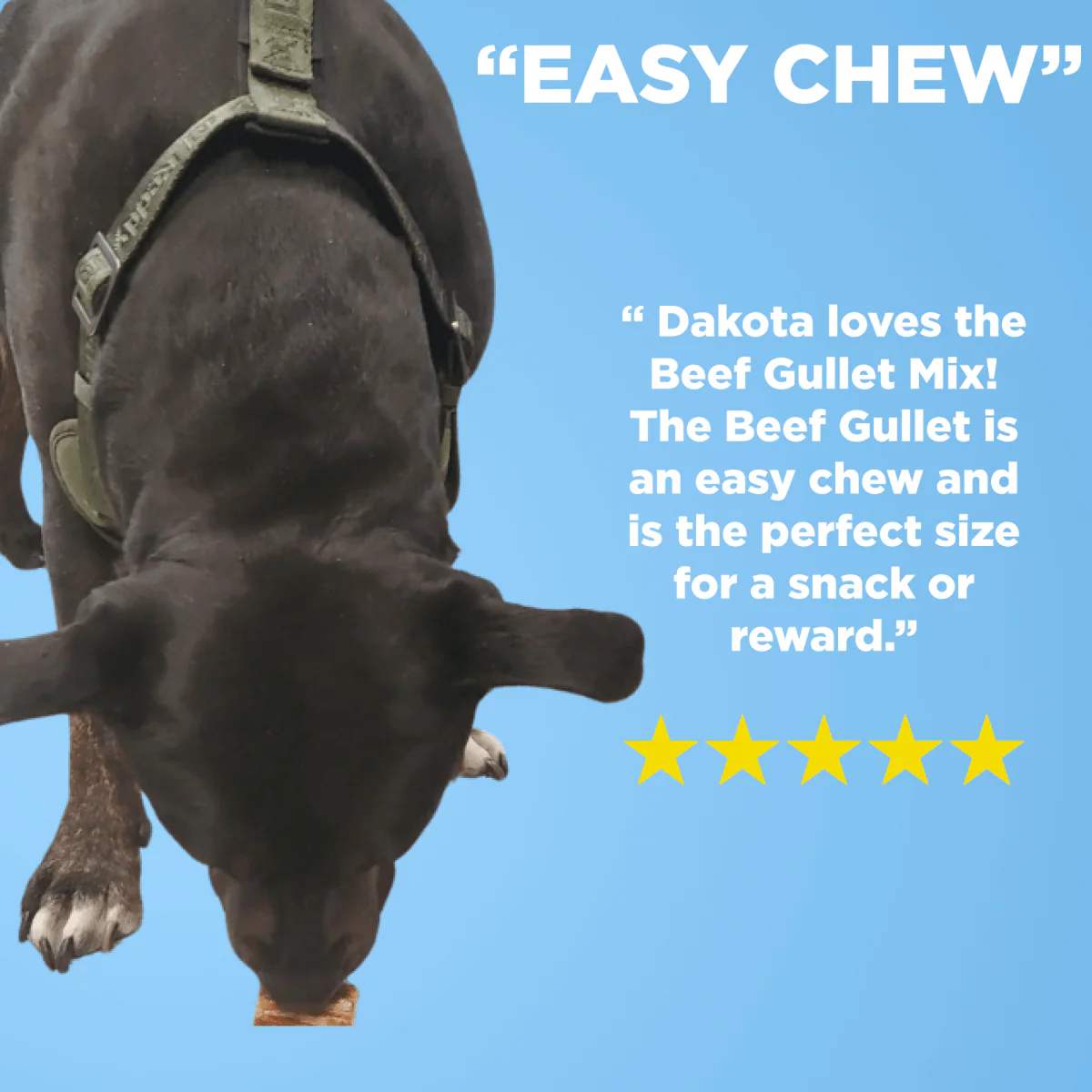 Beef Gullet Jerky Mix (1 lb.) - Image 3