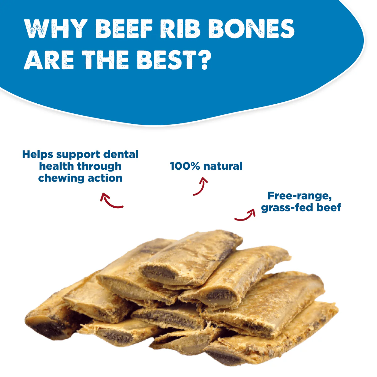 Beef Rib Bone (10 Pack) - Image 4