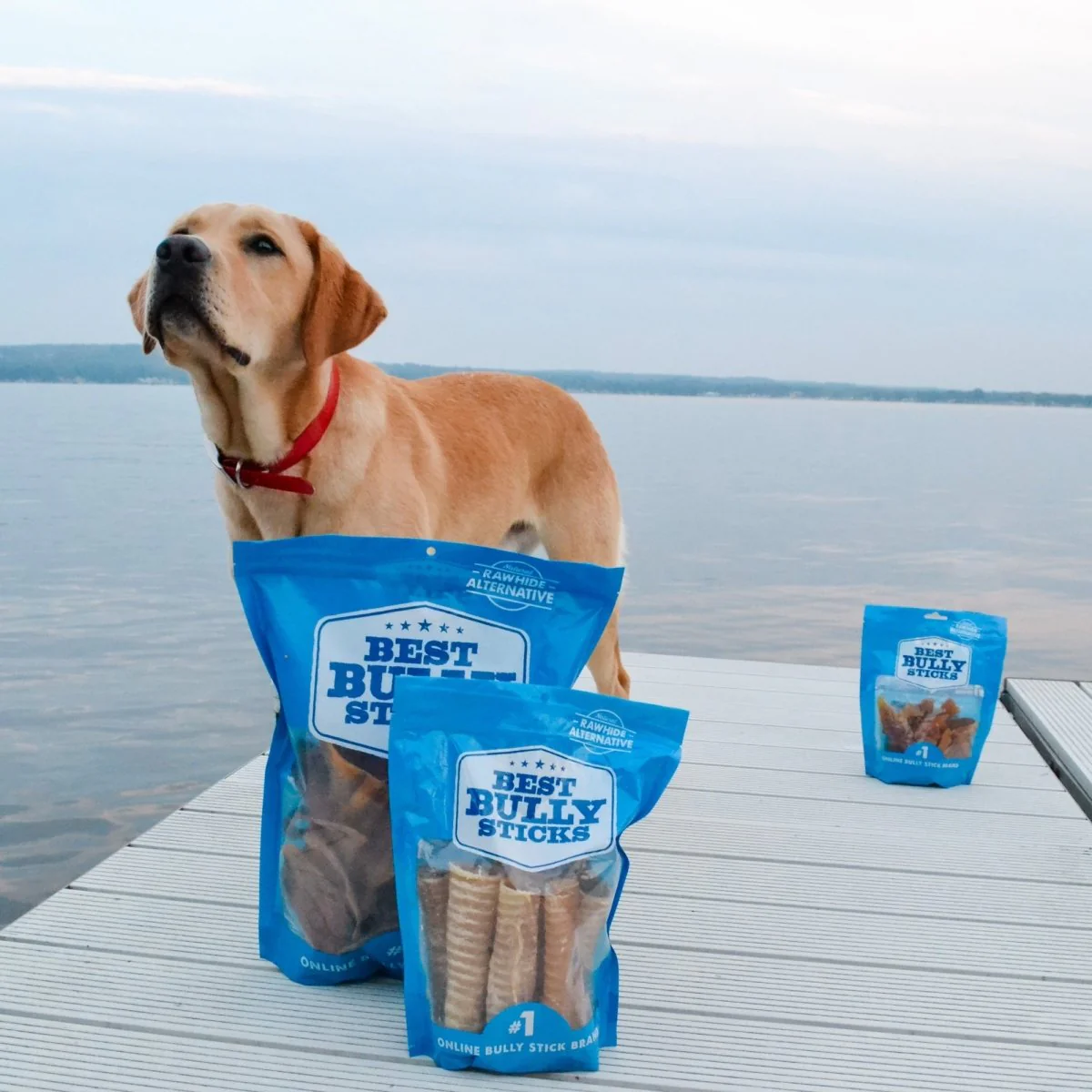 Beef Trachea Dog Chews - 5 to 6 Inch - Image 3