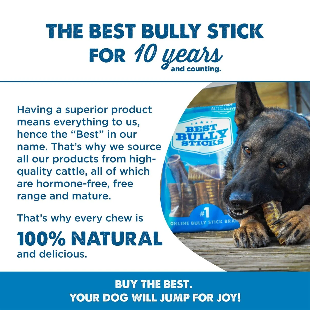 Beef Trachea Dog Chews - 5 to 6 Inch - Image 6