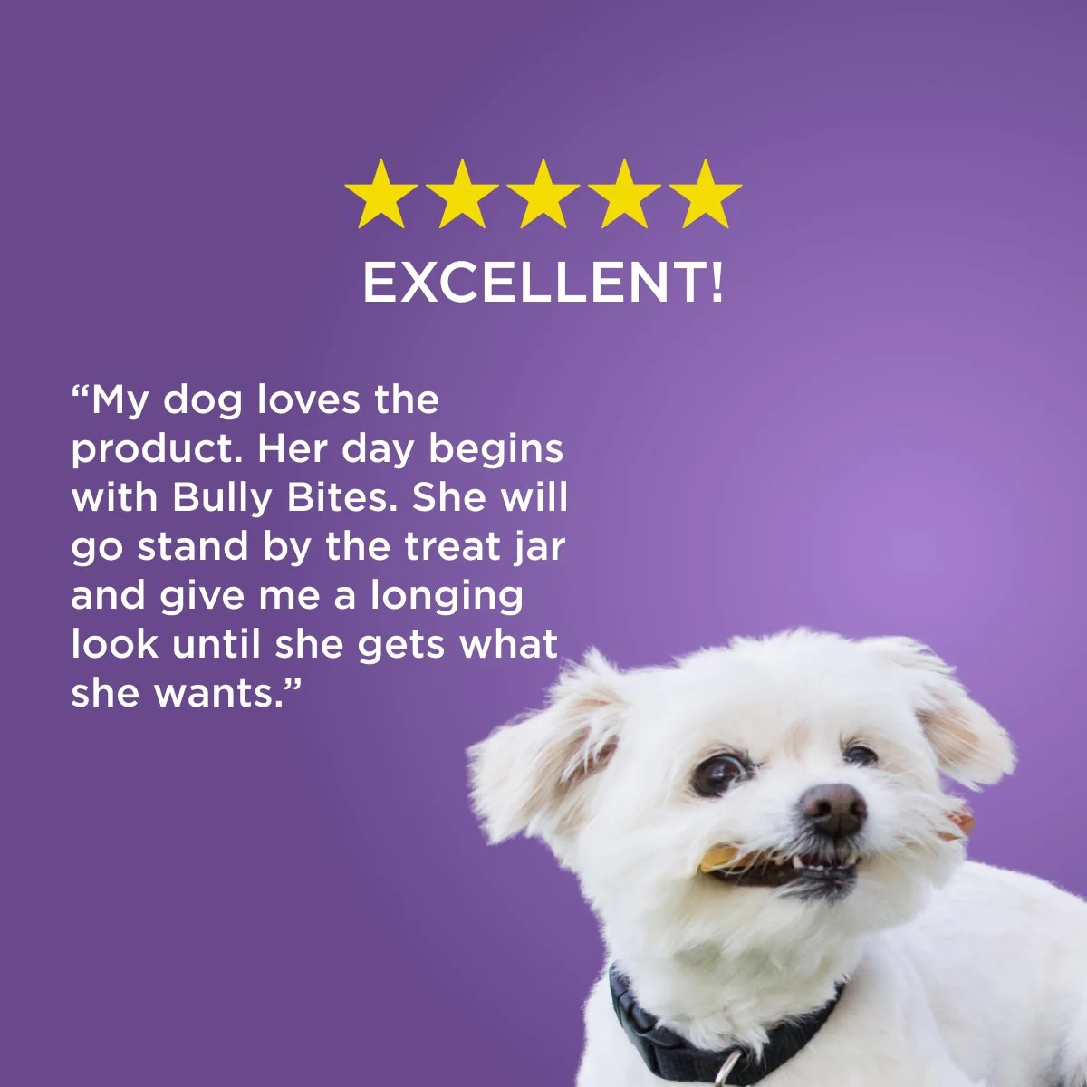 Bully Bite - Image 6
