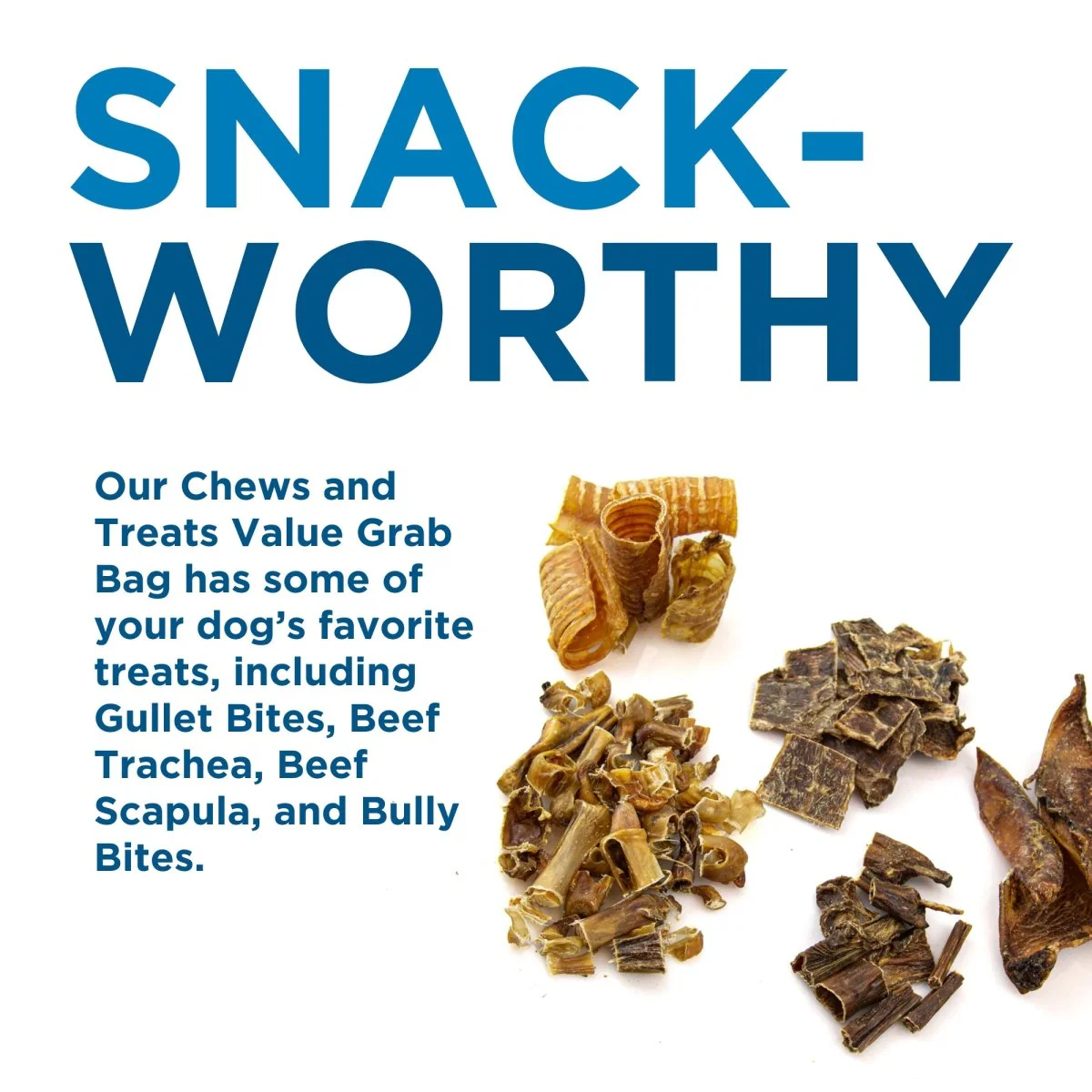 Chews and Treats Value Grab Bag (1 lb) - Image 6