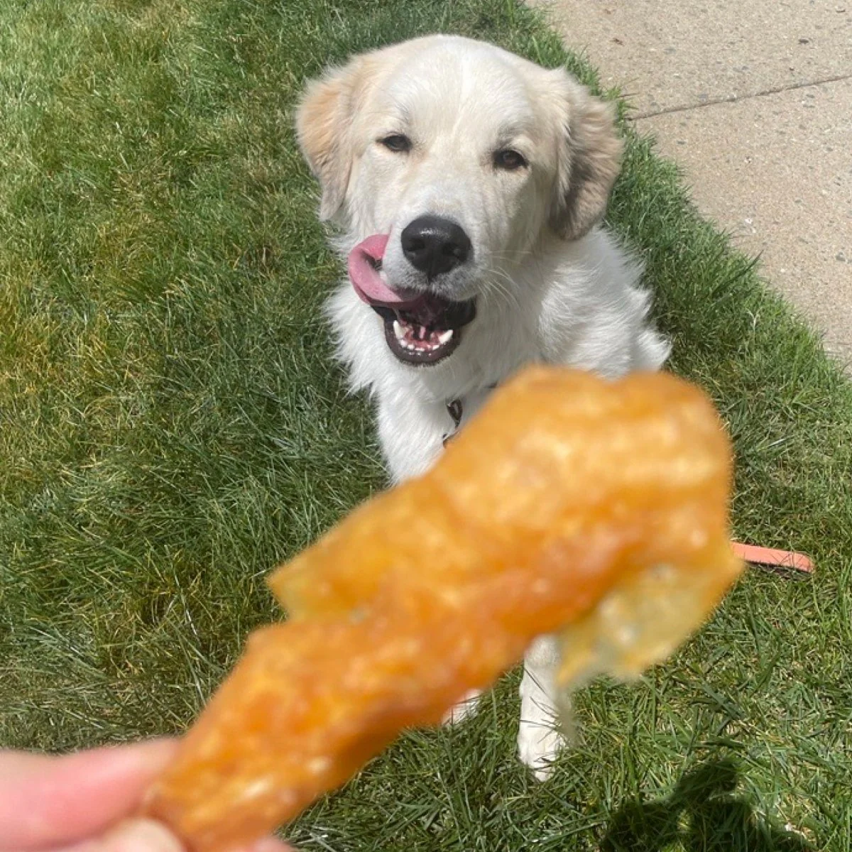 Chicken Jerky - Image 4
