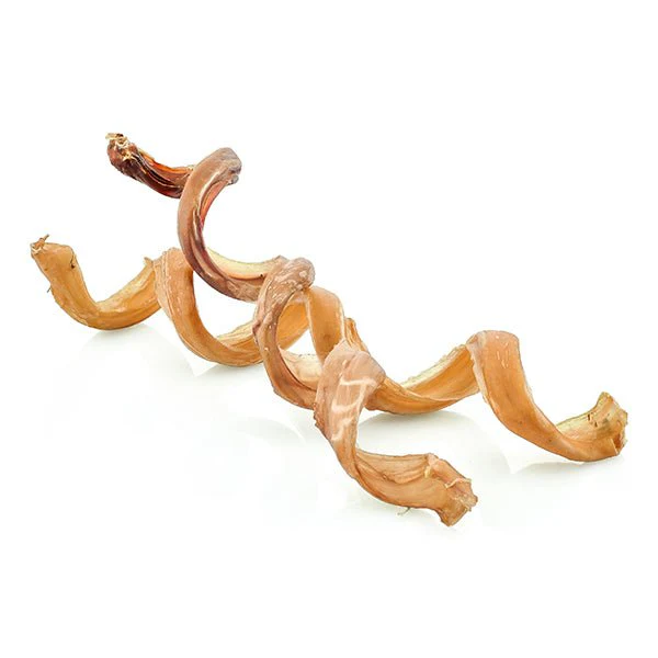 Curly Bully Sticks - Image 3