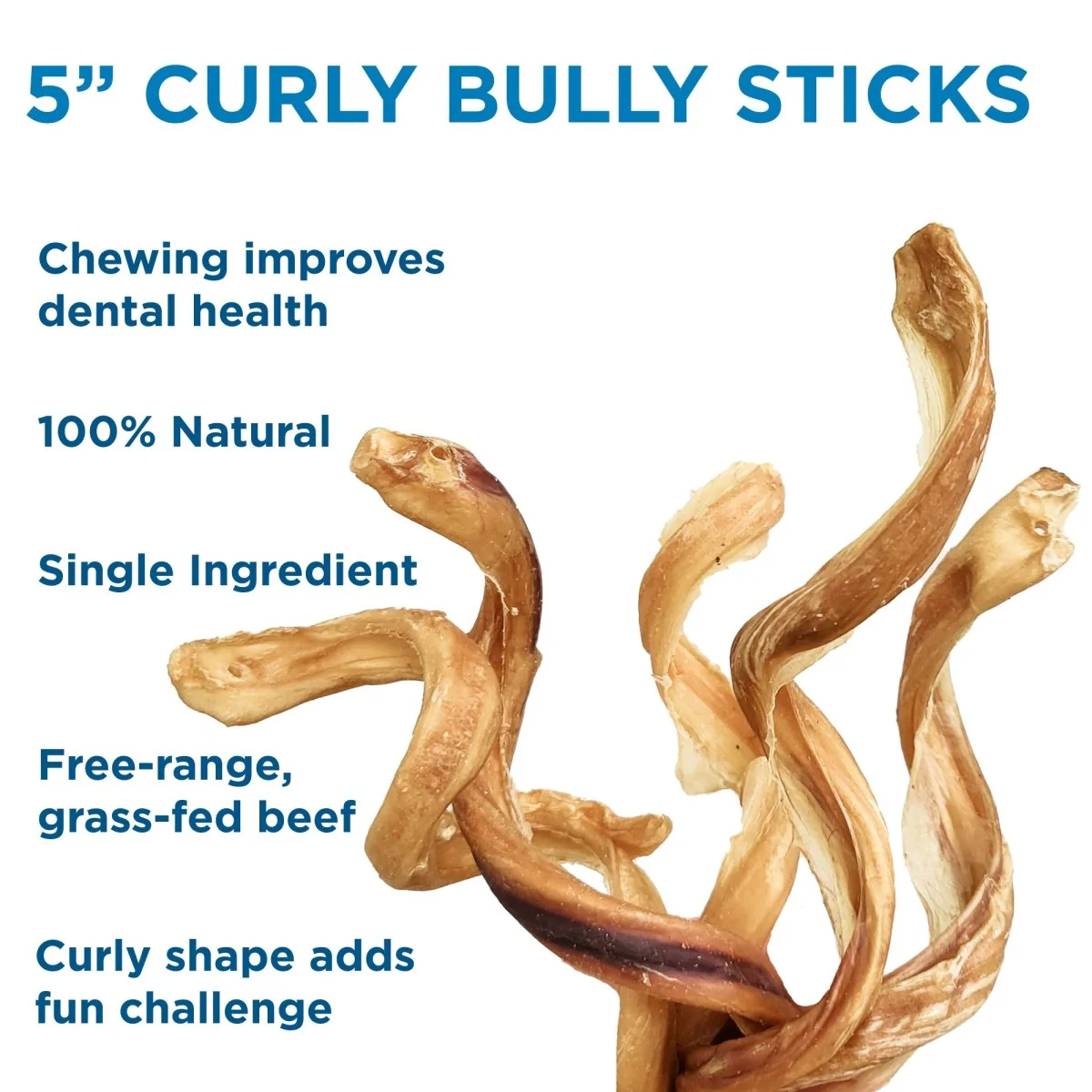 Curly Bully Sticks - Image 5