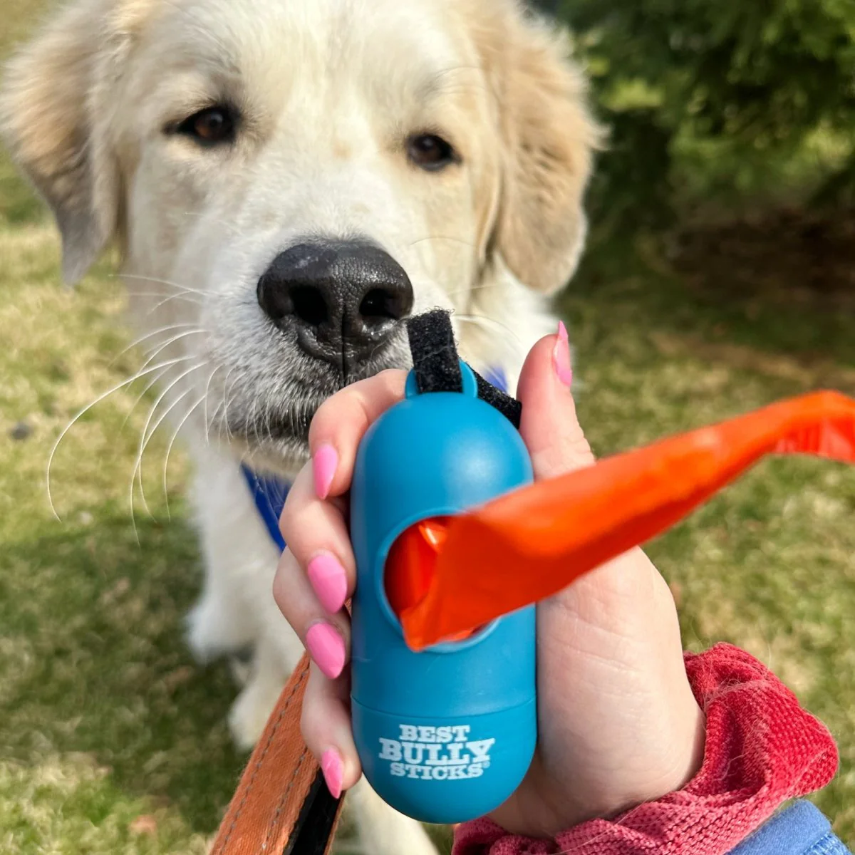 Dog Poop Bag Dispenser with Bags