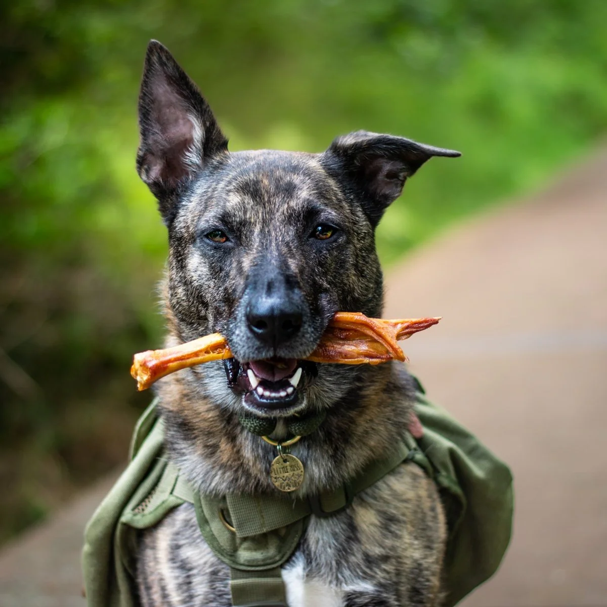 Duck Feet Dog Treats (25 Pack) - Image 3