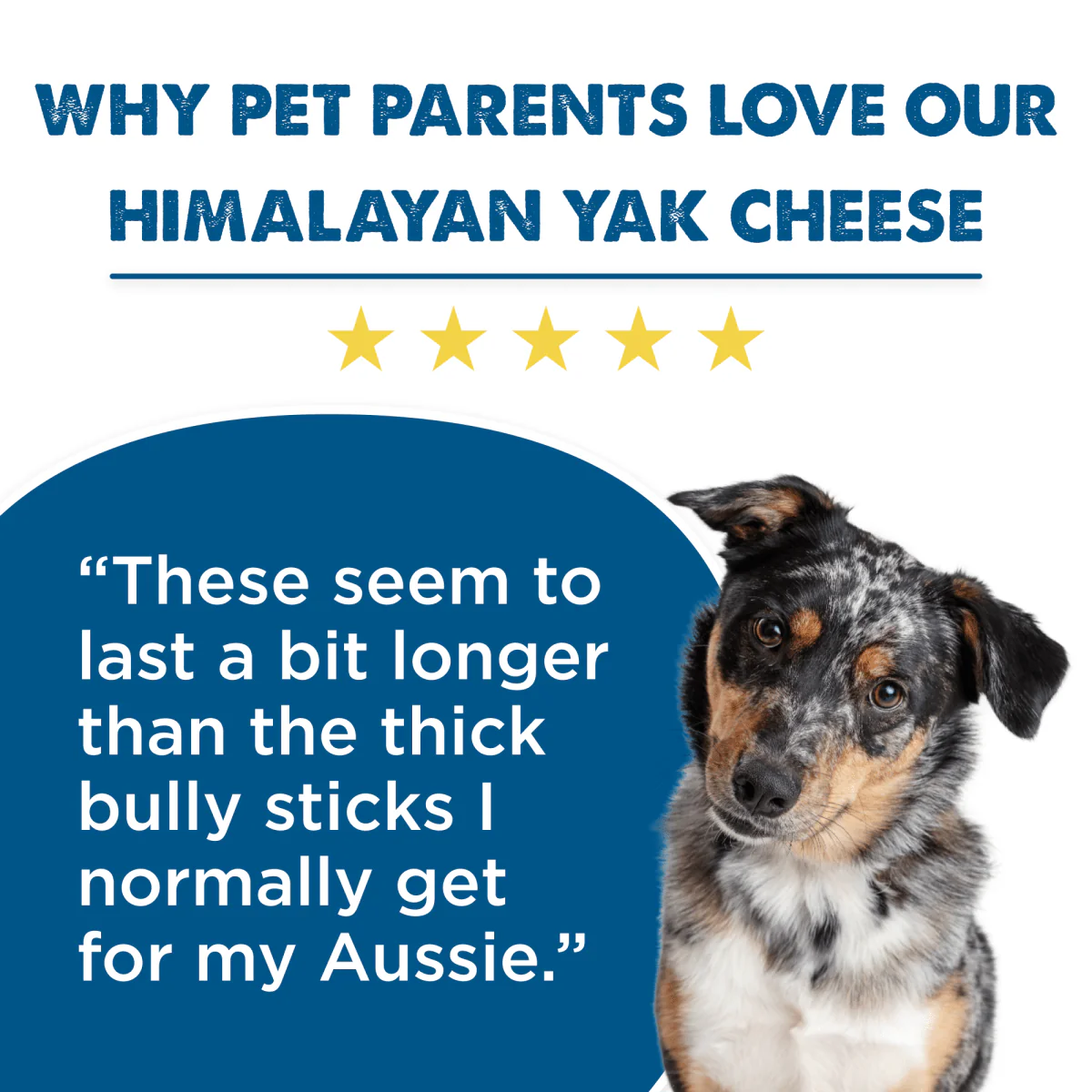 Himalayan Golden Yak Cheese Odor-Free (Mixed 3 Pack) - Image 8