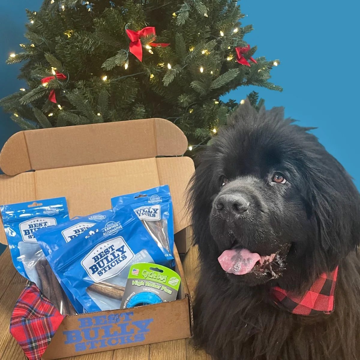 The BEST Holiday Treats & Chews Box - Image 4