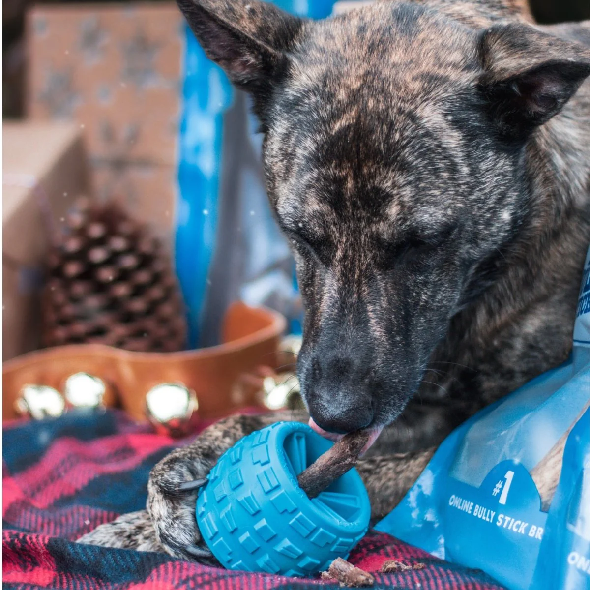 The BEST Holiday Treats & Chews Box - Image 5