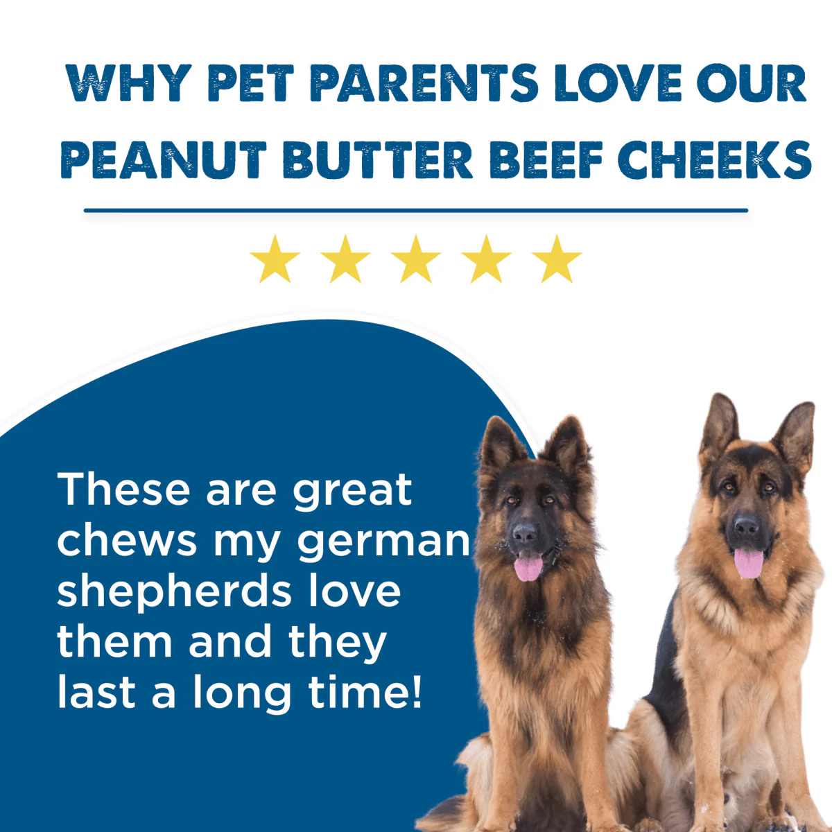 Peanut Butter Beef Cheek - Large - Image 4