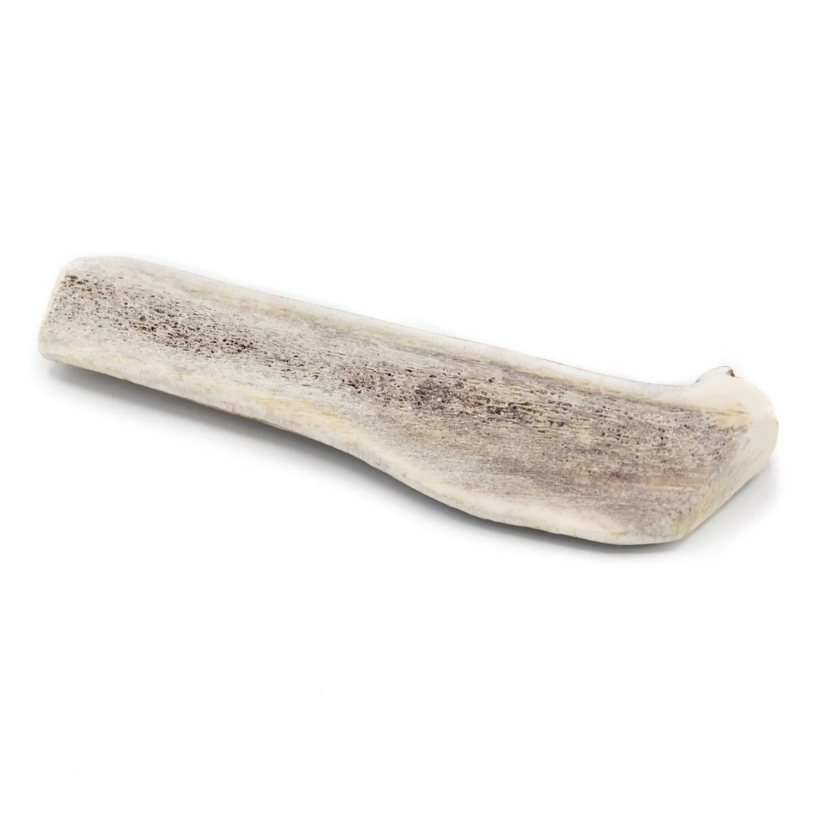 Large Split Elk Antler (1 Count) - Image 6